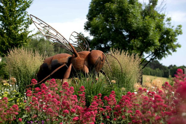 Včelárska záhrada