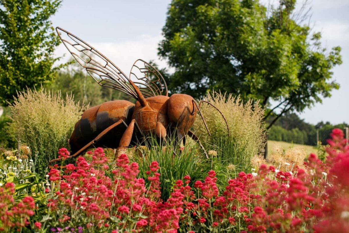 Neviditeľný svet opeľovačov