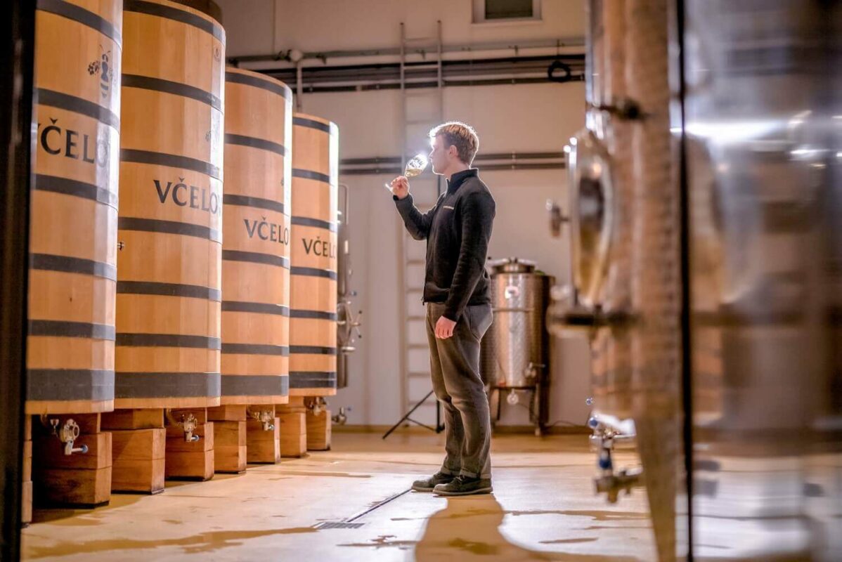 Včelovina kvasí pri nízkych teplotách