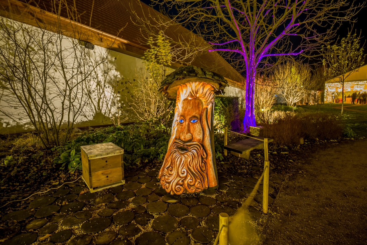 Svetlo Noci Vianočnej